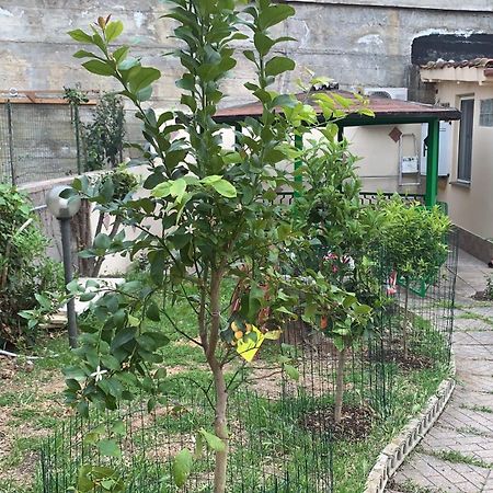 B&B Civitavecchia La Casetta Con Giardino Extérieur photo