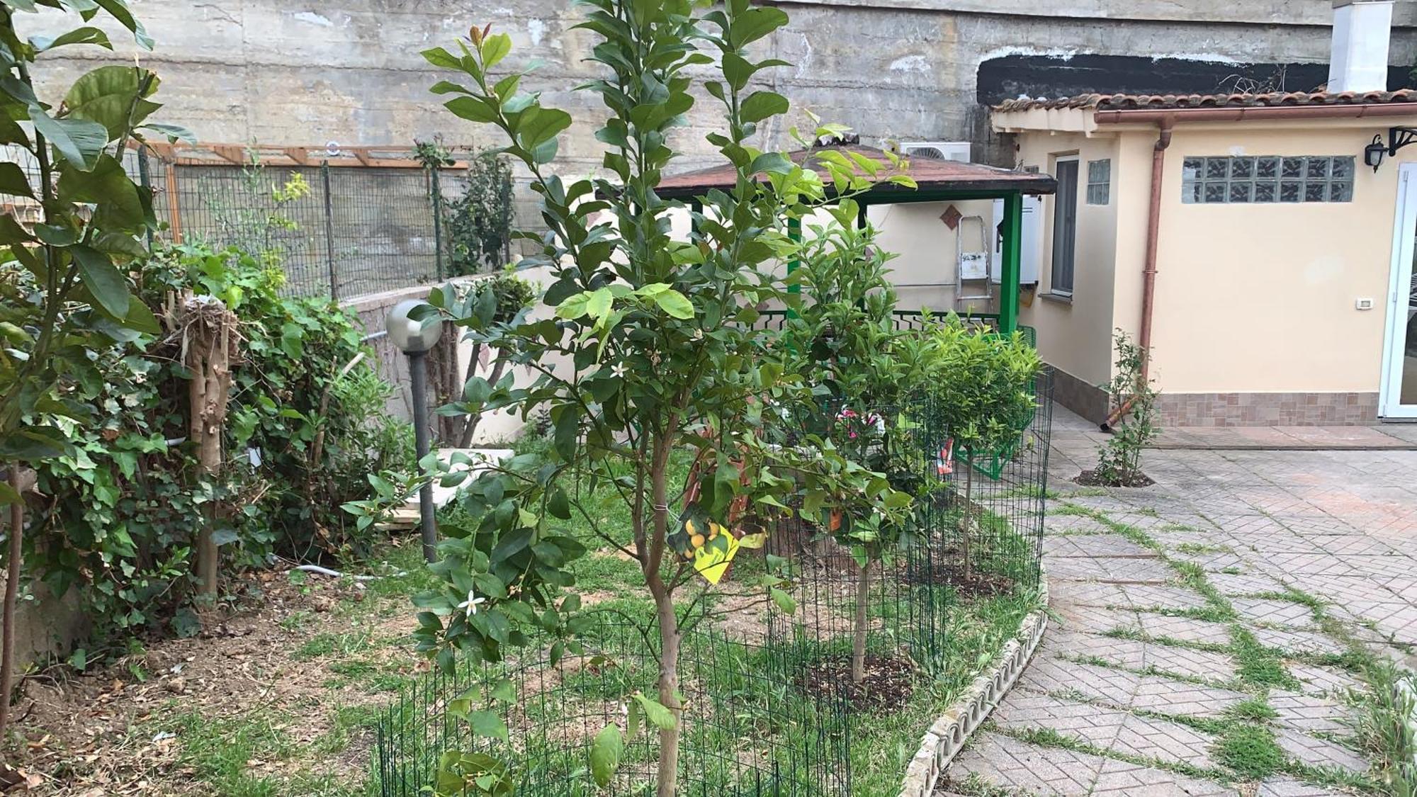 B&B Civitavecchia La Casetta Con Giardino Extérieur photo