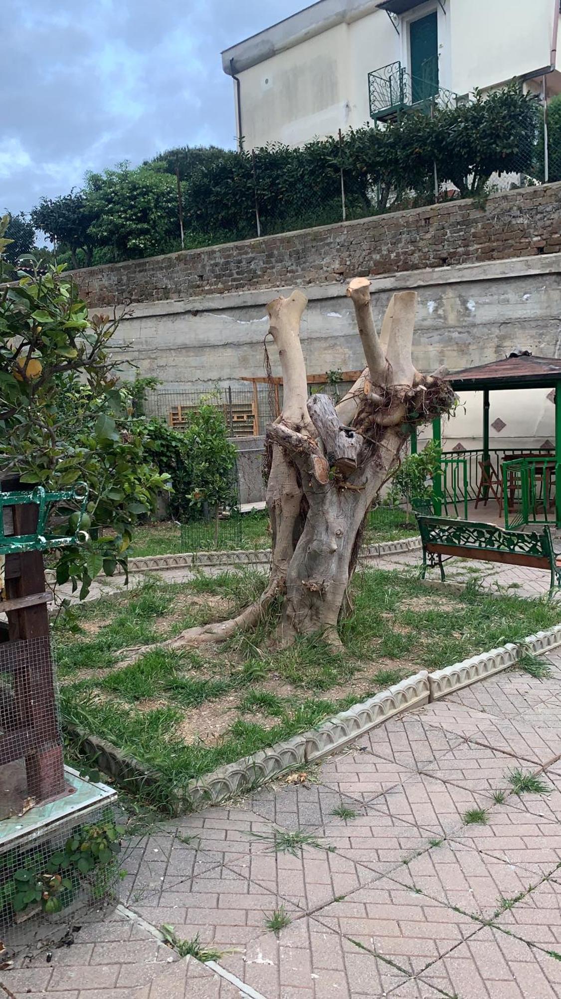 B&B Civitavecchia La Casetta Con Giardino Extérieur photo